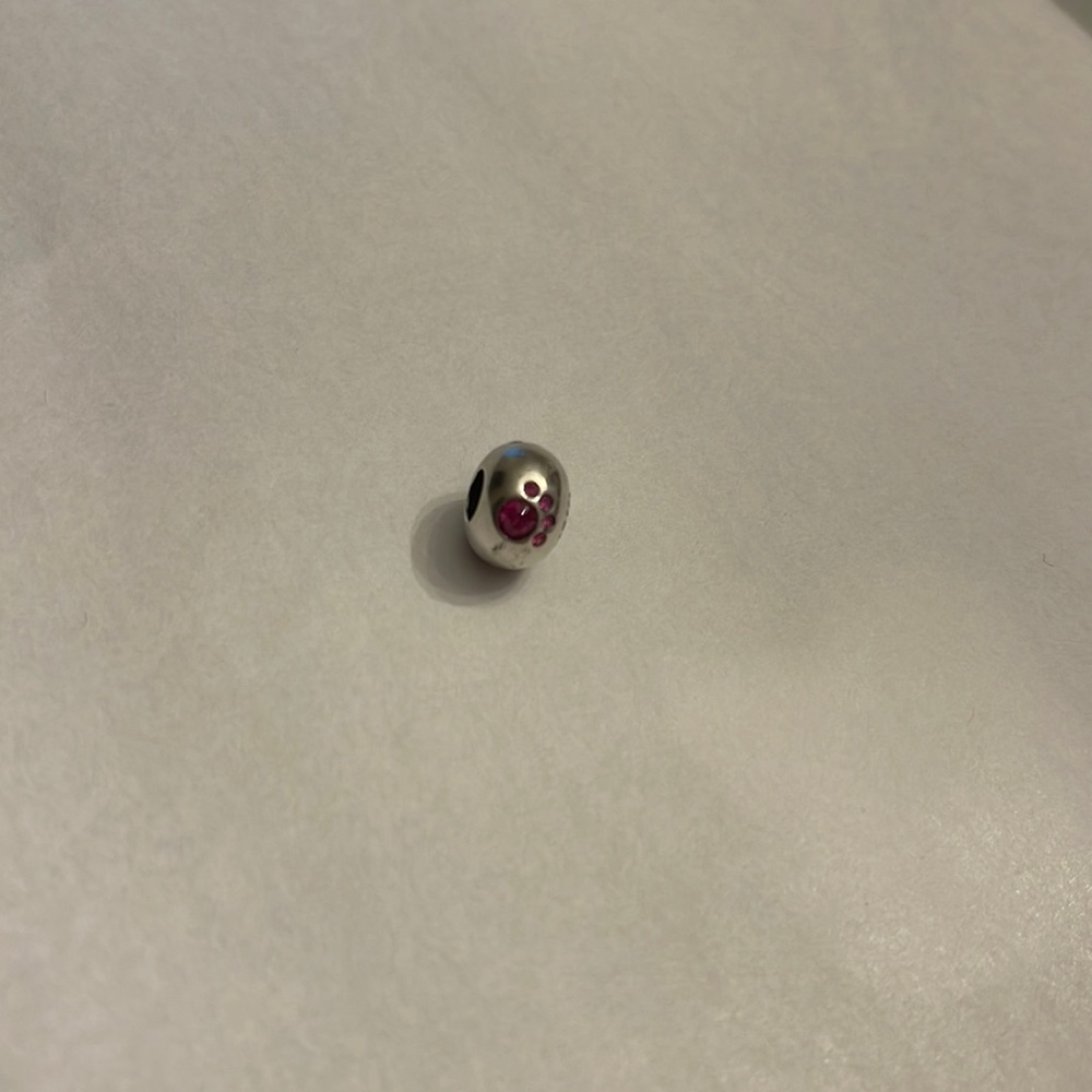 Chamilia Charm